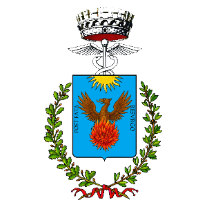 Logo Comune di Zocca